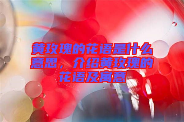 黃玫瑰的花語是什么意思，介紹黃玫瑰的花語及寓意