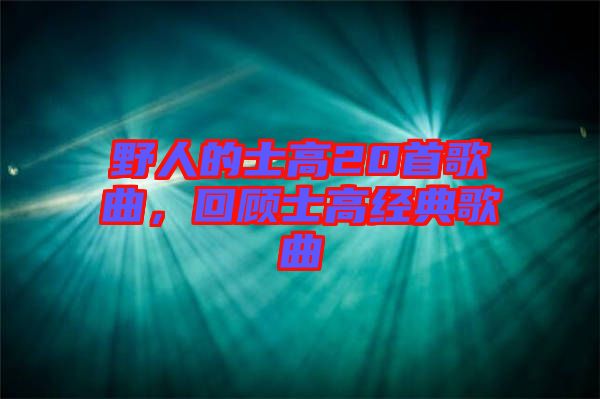 野人的士高20首歌曲，回顧士高經(jīng)典歌曲