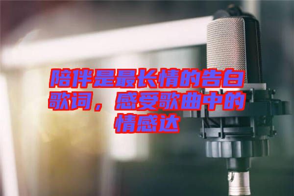 陪伴是最長情的告白歌詞，感受歌曲中的情感達(dá)