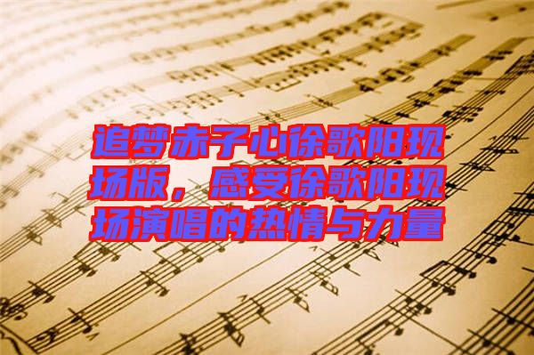 追夢赤子心徐歌陽現(xiàn)場版，感受徐歌陽現(xiàn)場演唱的熱情與力量