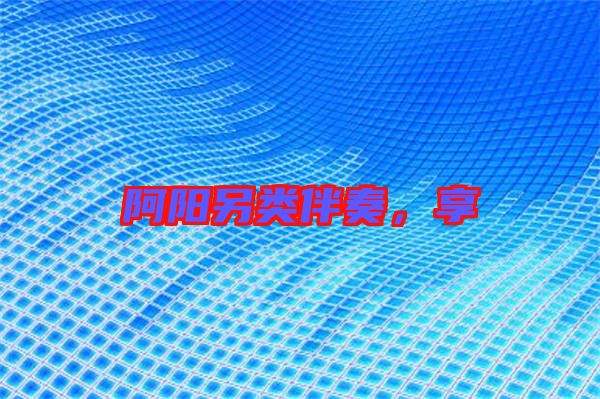 阿陽另類伴奏，享