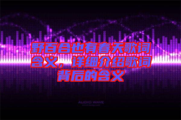 野百合也有春天歌詞含義，詳細(xì)介紹歌詞背后的含義