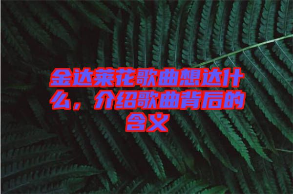 金達(dá)萊花歌曲想達(dá)什么，介紹歌曲背后的含義
